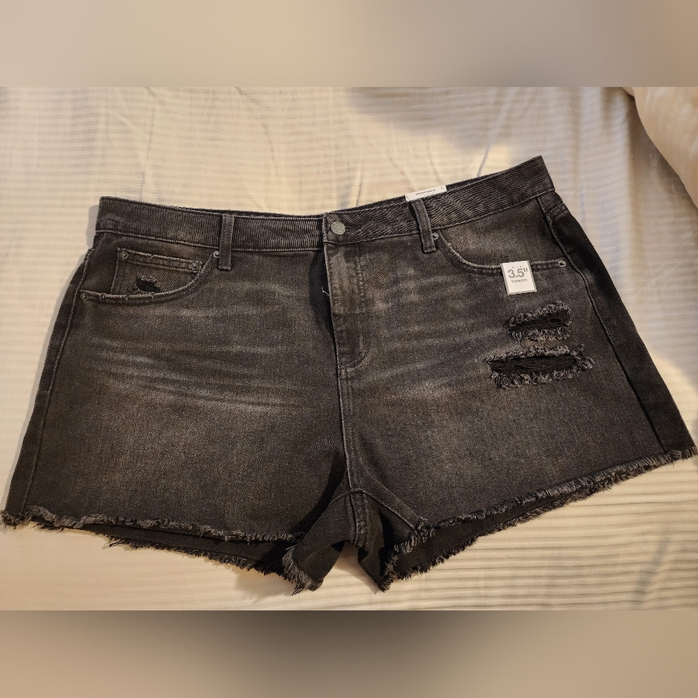 NWT Time & Tru shorts sz 18